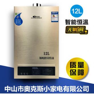 家用液化天然气不锈钢12L强排智能数码恒温燃气热水器