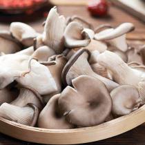 新鲜秀珍菇 精选袖珍菇 食用菌 蘑菇 菌菇