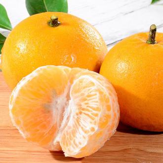 桔子新鲜当季水果蜜桔甜柑橘子