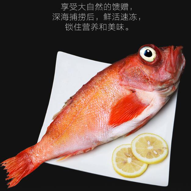 红石斑鱼富贵鱼海鲜水产鲜活海鱼冷冻生鲜
