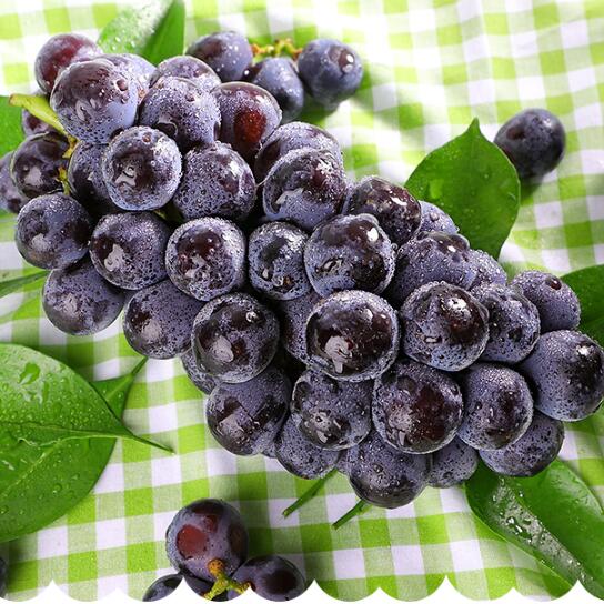 夏黑葡萄新鲜水果当季水果