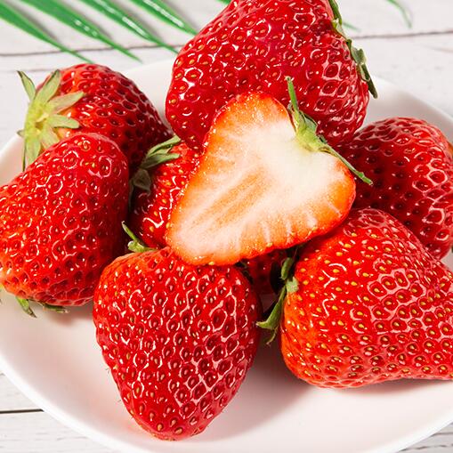 草莓 新鲜当季水果 大草莓