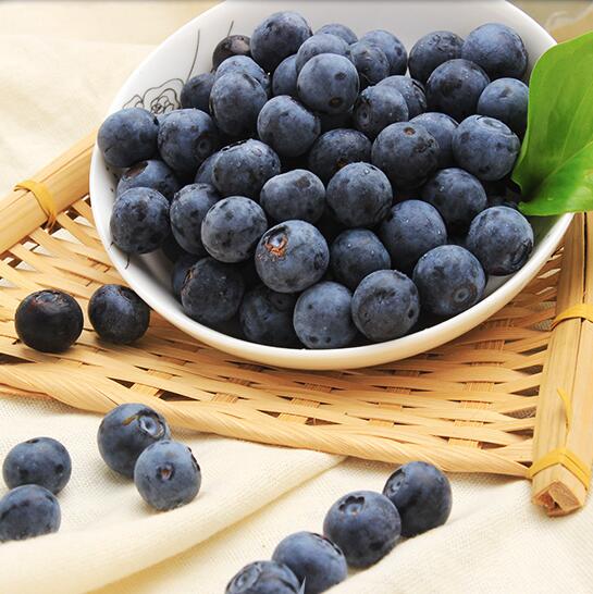新鲜蓝莓鲜果当季时令水果孕妇应季高山蓝梅