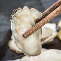 鲜活水产牡蛎 新鲜海鲜海蛎