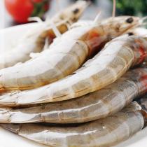 鲜活海鲜水产超大虾 基围虾 活虾鲜虾