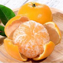 桔子新鲜当季水果蜜桔甜柑橘子
