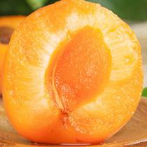 杏子新鲜水果现摘当季酸甜山西大黄杏