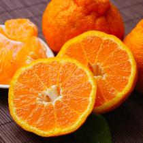 丑橘 新鲜水果当季丑八怪橘子