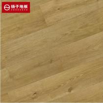 扬子地板强化复合木地板除醛环保 维也纳橡木YZ1901