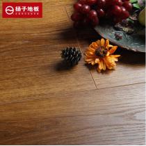 扬子地板强化复合木地板大印象除醛环保 波士顿橡木YZ1902 