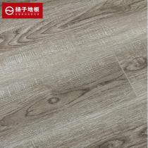 扬子地板实木复合地板悦享▪木源 YF8306克瑞斯灰橡 