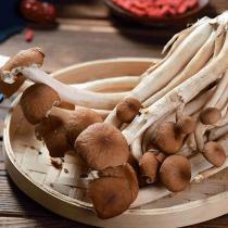 茶树菇 食用菇 食用菌一斤五包