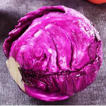 新鲜紫甘蓝 农家卷心菜沙拉椰菜紫包菜