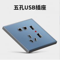 五孔双USB插座
